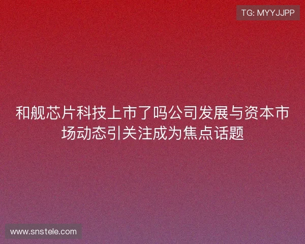 和舰芯片科技上市了吗公司发展与资本市场动态引关注成为焦点话题